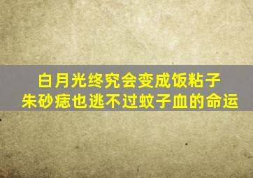 白月光终究会变成饭粘子 朱砂痣也逃不过蚊子血的命运